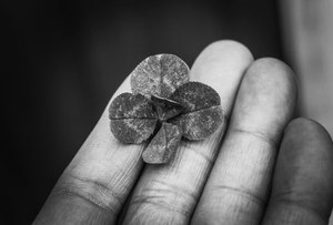 xác minh tài khoản 8xbet